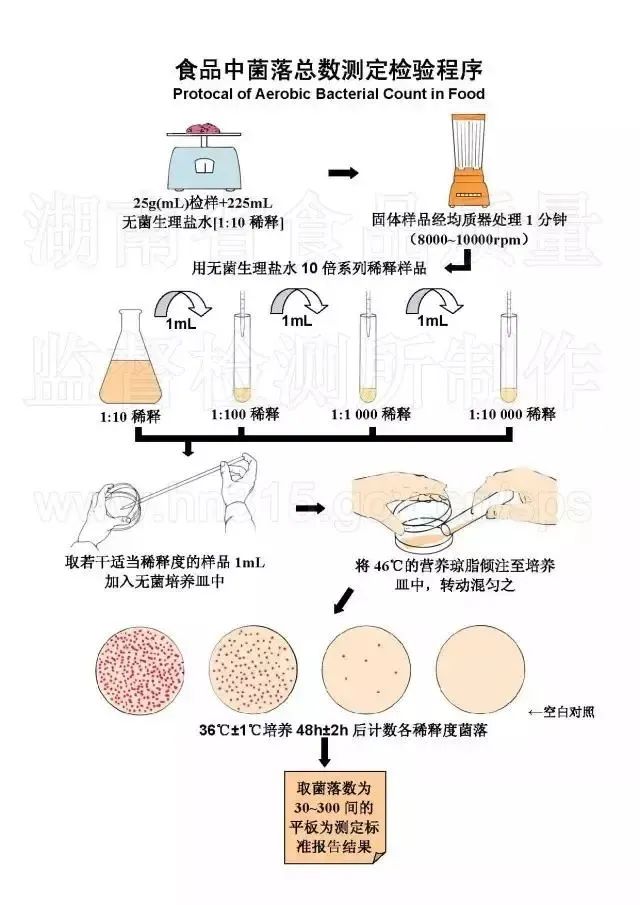 菌落總數(shù)檢驗程序