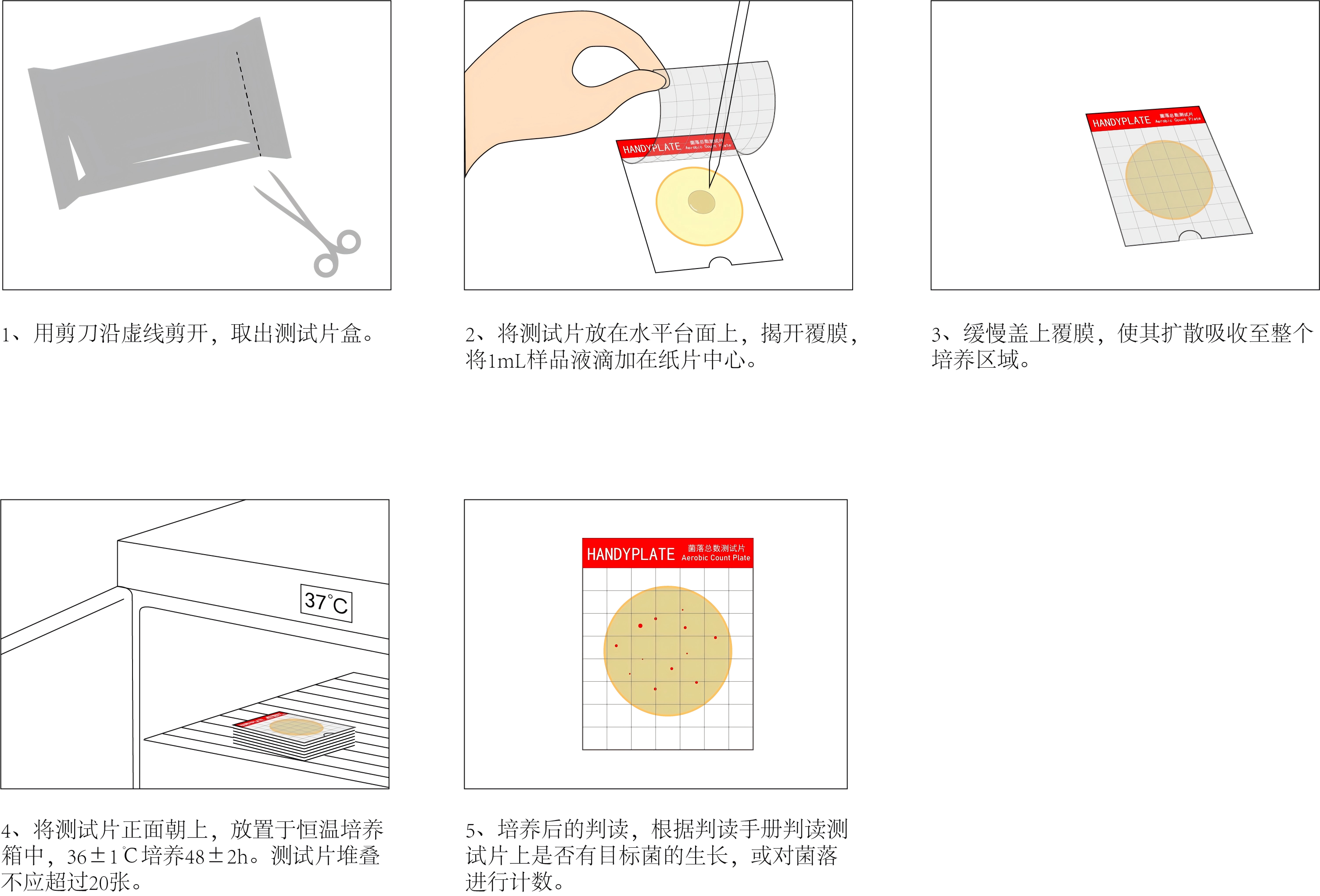 HandyPlate®菌落總數(shù)測(cè)試片(微生物快速檢測(cè)紙片)操作圖解